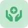 Care Coordination Icon